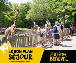 Séjour ZooParc de Beauval : profitez du billet 2 jours+ et visitez le parc pendant toute la durée de votre séjour